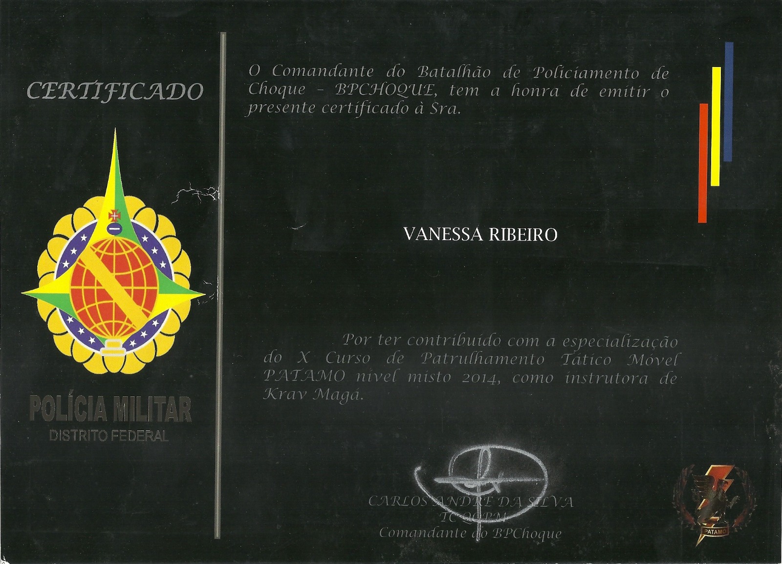 Capacidade técnica 8